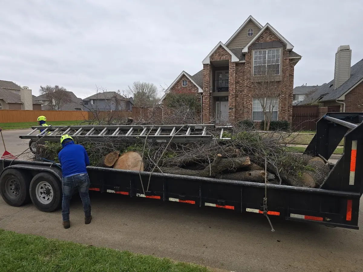Expert Tree Fertilization with proper safety equipment in Elmo